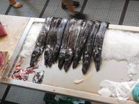 Fischmarkt in Funchal