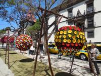 Blumenschmuck in Funchal