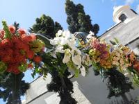 Blumenzauber in Funchal