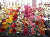 Blumenschmuck in Funchal