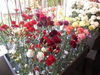 Blumenschmuck in Funchal