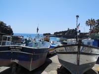 Fischerboote in Camara de Lobos
