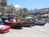 Fischerboote in Camara de Lobos