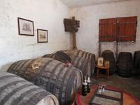 Besichtigung eines Weingutes