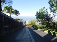 Korbschlittenfahren in Monte