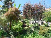 Der Garten von Esmeralda