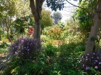 Der Kräutergarten von Esmeralda