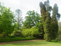 Der britische Teil im Blandy Garden