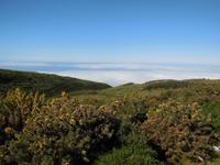 Ausblick vom Cafe Jungle Rain