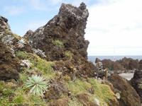 Felsformationen in Porto Moniz