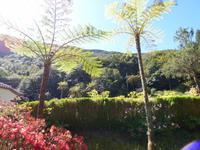 Bei der Forellenzucht // Ribeiro Frio