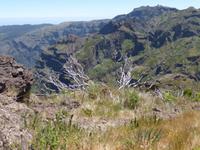 auf dem Weg zum Pico do Ruivo