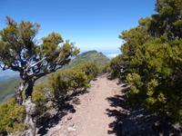 Dieser Weg wird kein leichter sein.. // Pico do Ruivo