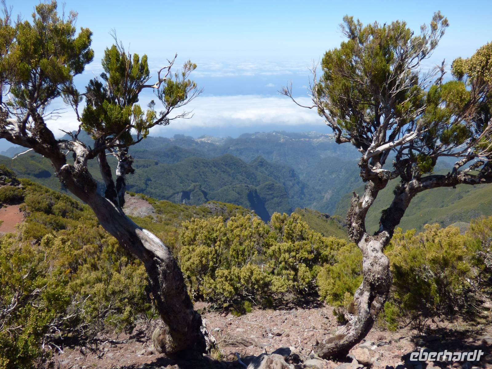 grandiose Ausblicke // Pico do Ruivo