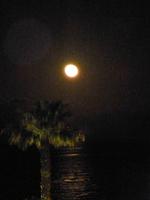 Mond über dem Atltantik // laue Nächte auf Madeira