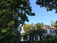 im botanischen Garten // Funchal