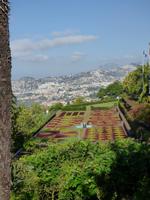 im botanischen Garten // Funchal