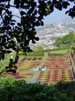 im botanischen Garten // Funchal