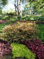 im botanischen Garten // Funchal