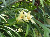 Bei einer Quinta // Weingut