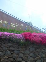 Farbenspiel Madeiras