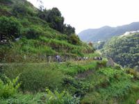 entlang der Levada bei Maroços