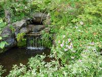 Garten der Quinta do Palheiro