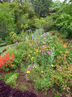 Garten der Quinta do Palheiro