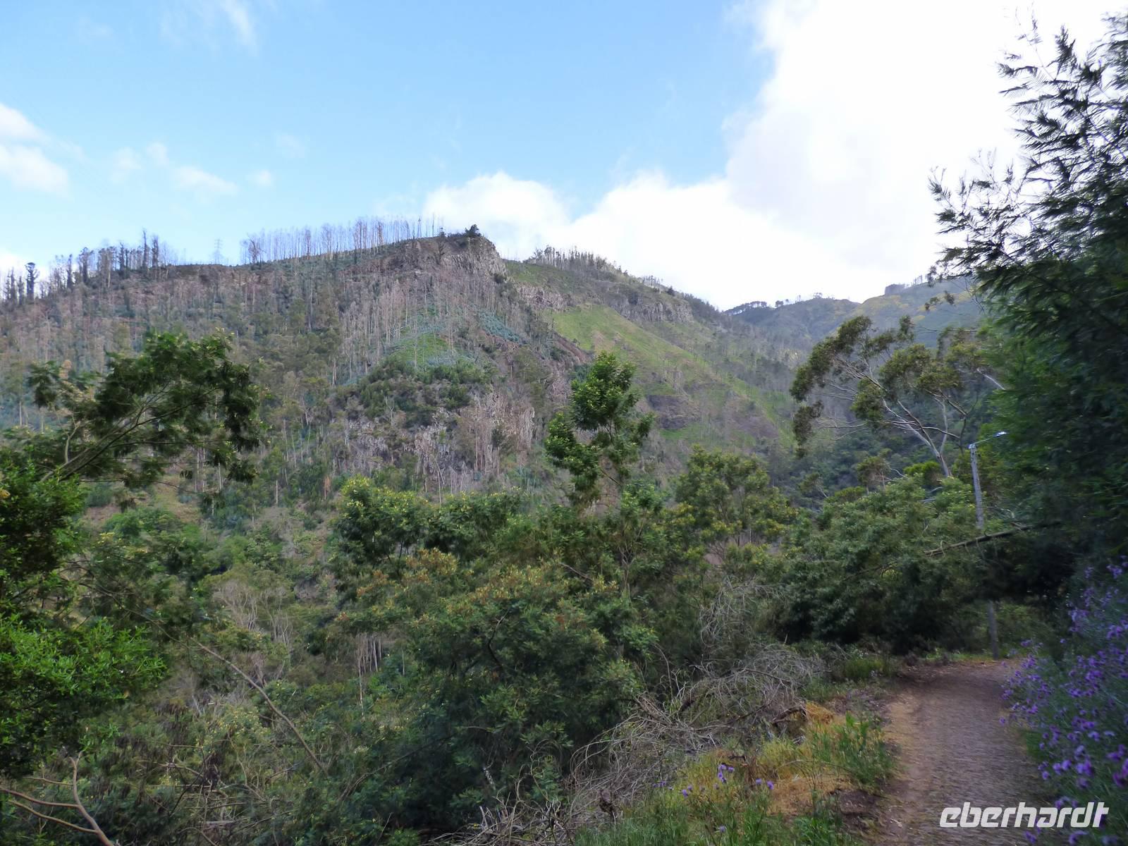 Wanderung nach Monte (fast kein Höhenunterschied ;-) )