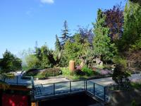 tropischer Garten // Monte