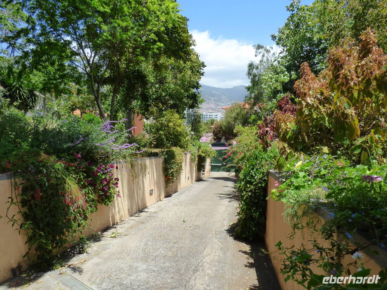 im Kräutergarten // 