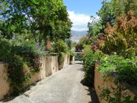 im Kräutergarten // 