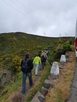 Levadawanderung am Hochplateau im Westen Madeiras