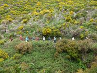 Levadawanderung am Hochplateau im Wilden Westen Madeiras
