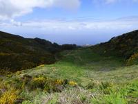 Levadawanderung am Hochplateau im Wilden Westen Madeiras