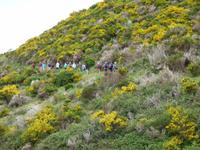 Levadawanderung am Hochplateau im Wilden Westen Madeiras