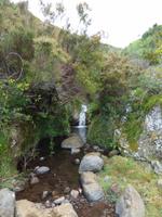 Levadawanderung am Hochplateau im Wilden Westen Madeiras