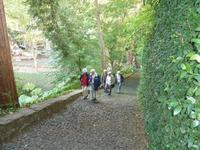 Aufstieg zur Kirche in Monte