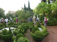 Hühner in Blandys Garten