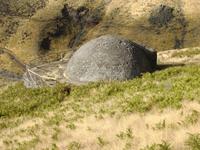 Kühlschrank auf Madeira