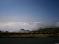 Pico do Arieiro - 1818 m - über den Wolken