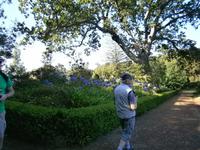 Gärten Madeiras - Anwesen Familie Blandy