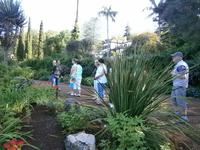 Gärten Madeiras - Anwesen Familie Blandy