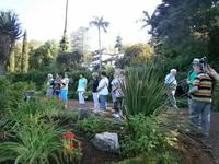 Gärten Madeiras - Anwesen Familie Blandy