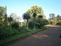 Gärten Madeiras - Anwesen Familie Blandy