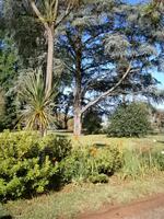 Gärten Madeiras - Anwesen Familie Blandy