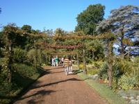 Gärten Madeiras - Anwesen Familie Blandy