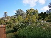 Gärten Madeiras - Anwesen Familie Blandy