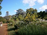 Gärten Madeiras - Anwesen Familie Blandy