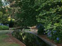 Gärten Madeiras - Anwesen Familie Blandy